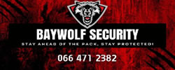 Baywolf Security